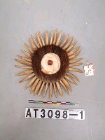 藏品(獸牙製帽前飾)的圖片